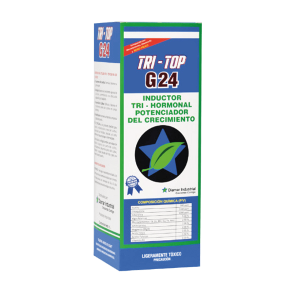 TRI - TOP G24